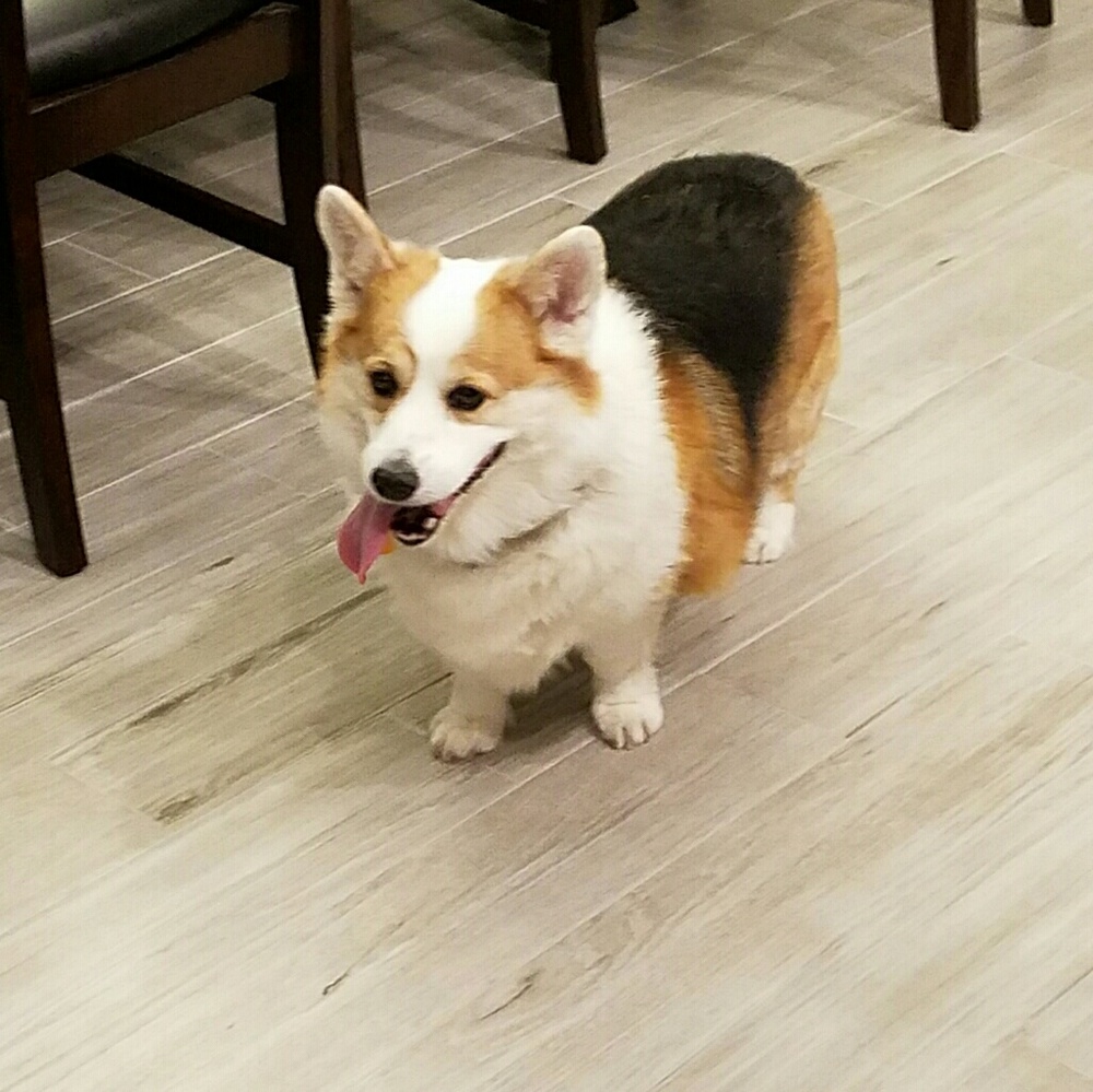 Meet your Posher, Stacy